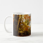 Greenbelt Park in de Herfst II Maryland Natuur Sce Koffiemok (Links)