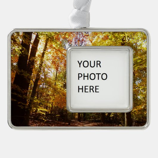 Greenbelt Park in de Herfst II Maryland Natuur Sce Verzilverd Omlijst Ornament (Voorkant)