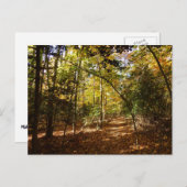 Greenbelt Park in Herfst I Landschap Maryland Briefkaart (Voorkant / Achterkant)