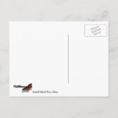 Greenbelt Park in Herfst I Landschap Maryland Briefkaart (Achterkant)