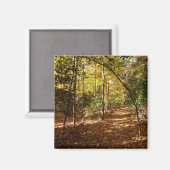 Greenbelt Park in Herfst I Landschap Maryland Magneet (Voorkant / Achterkant)