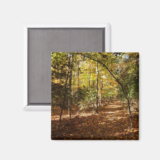 Greenbelt Park in Herfst I Landschap Maryland Magneet (Voorkant / Achterkant)