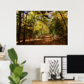 Greenbelt Park in Herfst I Landschap Maryland Poster (Thuiskantoor)