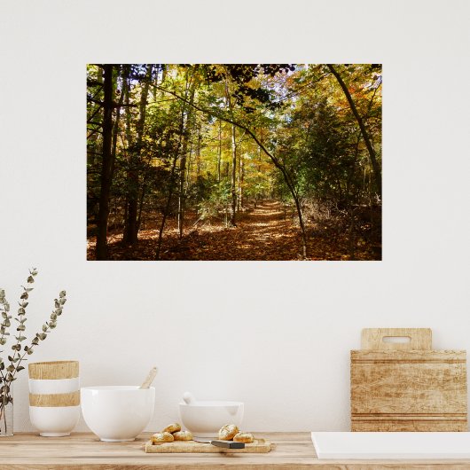 Greenbelt Park in Herfst I Landschap Maryland Poster (Keuken)