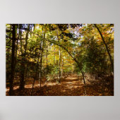 Greenbelt Park in Herfst I Landschap Maryland Poster (Voorkant)
