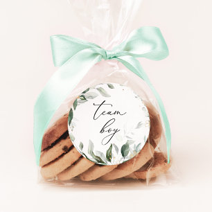 Greenere team jongen stickers