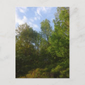 Greenery Briefkaart (Voorkant)