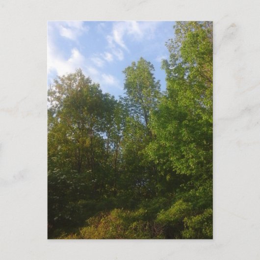 Greenery Briefkaart (Voorkant)