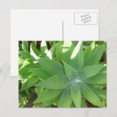 Greenery Briefkaart (Voorkant / Achterkant)