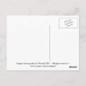 Greenery Briefkaart (Achterkant)