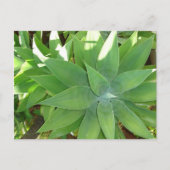 Greenery Briefkaart (Voorkant)