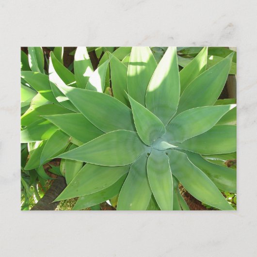 Greenery Briefkaart (Voorkant)