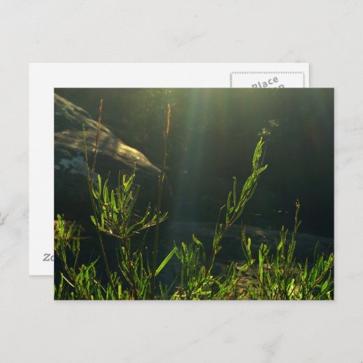 Greenery Briefkaart (Voorkant / Achterkant)