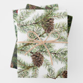 Greenery. pijnbomen, kegels, fir inpakpapier vel (In situ)