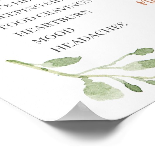 Greenery Pink Mint Peach Pumpkin Old Wives Tales Poster (Hoek)