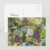 Greenery Succulents Briefkaart (Voorkant / Achterkant)