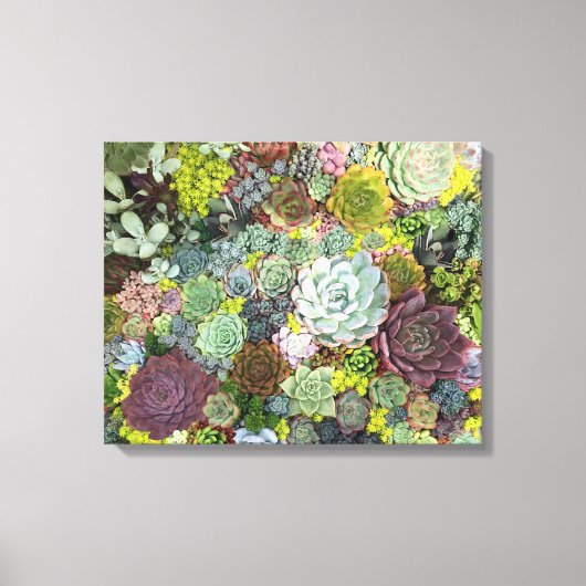 Greenery Succulents Canvas Afdruk (Voorkant)