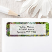 Greenery Succulents Etiket (Insitu)