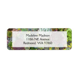 Greenery Succulents Etiket