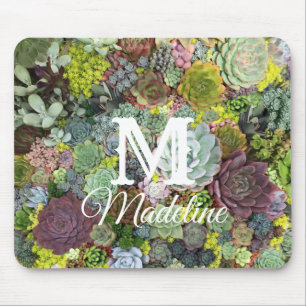 Greenery Succulents Muismat