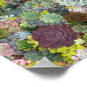 Greenery Succulents Poster (Hoek)