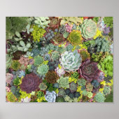 Greenery Succulents Poster (Voorkant)