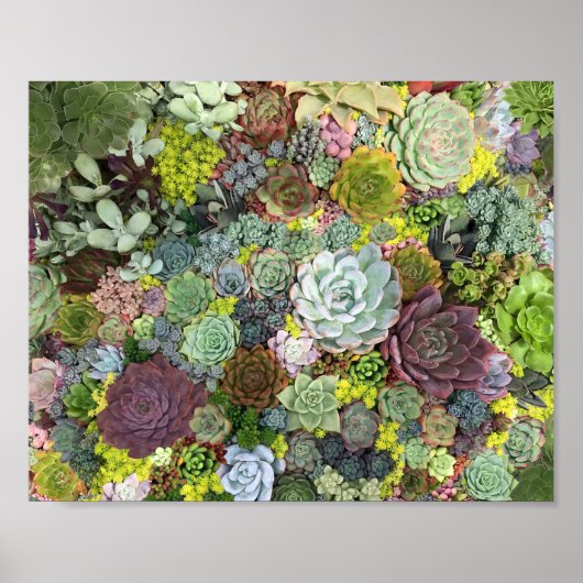 Greenery Succulents Poster (Voorkant)