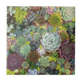 Greenery Succulents Tegeltje (Voorkant)