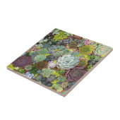 Greenery Succulents Tegeltje (Zijkant)