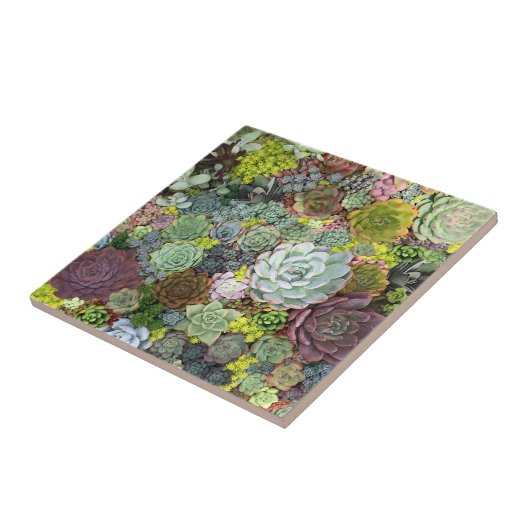 Greenery Succulents Tegeltje (Zijkant)