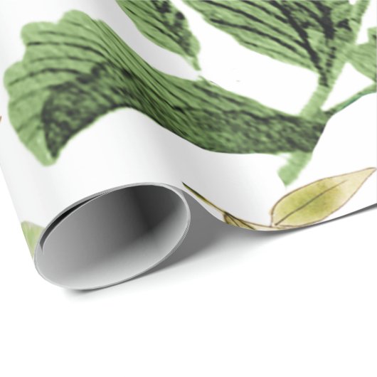 Greenery Wrapping Paper Cadeaupapier (Rol Hoek)