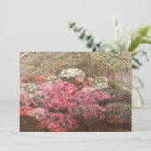 Greenhouse Azaleas | Marie Antoinette Marcotte (Staand voorkant)