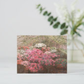 Greenhouse Azaleas | Marie Antoinette Marcotte Briefkaart (Staand voorkant)