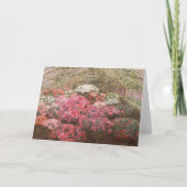 Greenhouse Azaleas | Marie Antoinette Marcotte Kaart (Voorkant)