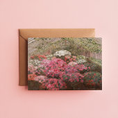 Greenhouse Azaleas | Marie Antoinette Marcotte Kaart