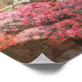 Greenhouse Azaleas | Marie Antoinette Marcotte Poster (Hoek)