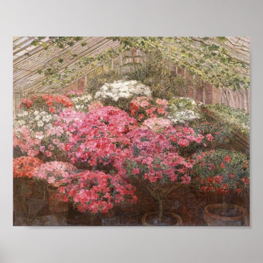 Greenhouse Azaleas | Marie Antoinette Marcotte Poster (Voorkant)