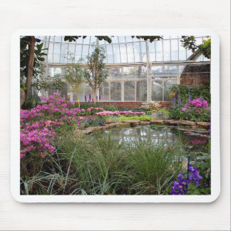 Greenhouse Glory Muismat