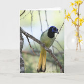 Greenjay-2 Kaart (Gele Bloem)