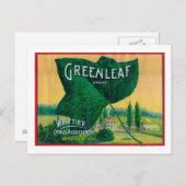 Greenleaf Lemon LabelWhittier, CA Briefkaart (Voorkant / Achterkant)