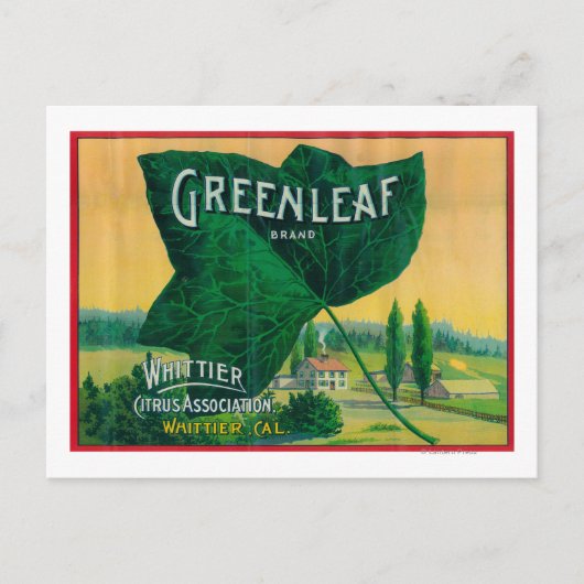 Greenleaf Lemon LabelWhittier, CA Briefkaart (Voorkant)