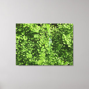 Greens Canvas Afdruk