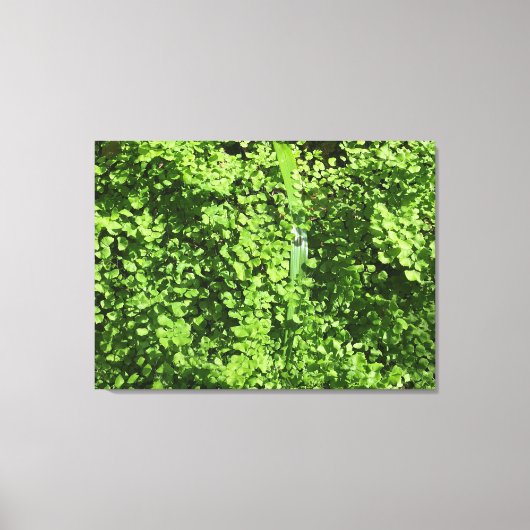Greens Canvas Afdruk (Voorkant)
