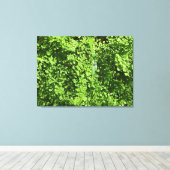 Greens Canvas Afdruk (Insitu (Houten vloer))