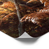 Greens Creek Hiking Path Poster (Hoek)