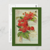 Green's Nursery Co. Advertisement Briefkaart (Voorkant / Achterkant)