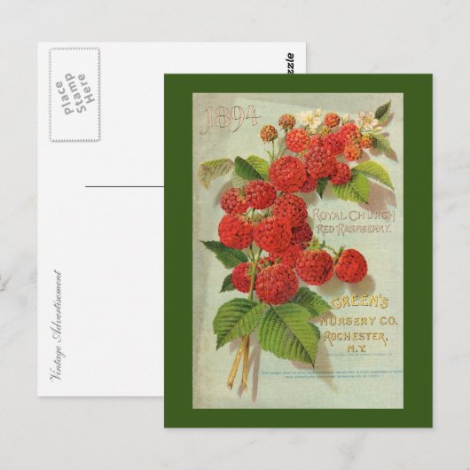 Green's Nursery Co. Advertisement Briefkaart (Voorkant / Achterkant)