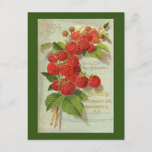 Green's Nursery Co. Advertisement Briefkaart