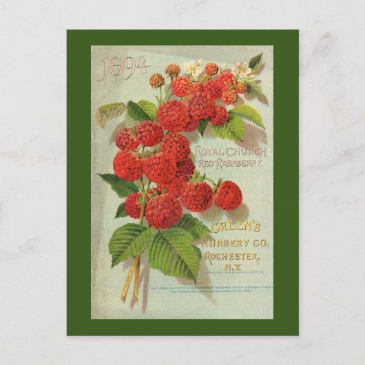 Green's Nursery Co. Advertisement Briefkaart (Voorkant)