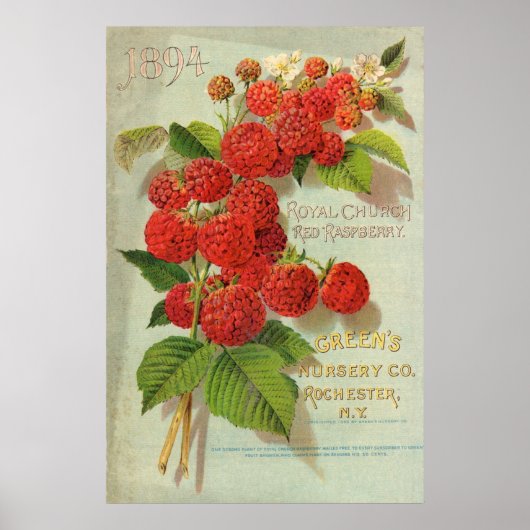 Green's Nursery Co. Advertisement Poster (Voorkant)